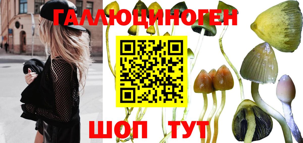 Галлюциногенные грибы мухоморы  Вход с VPN  Черкесск  Псилоцибиновые грибы Magic Shrooms 