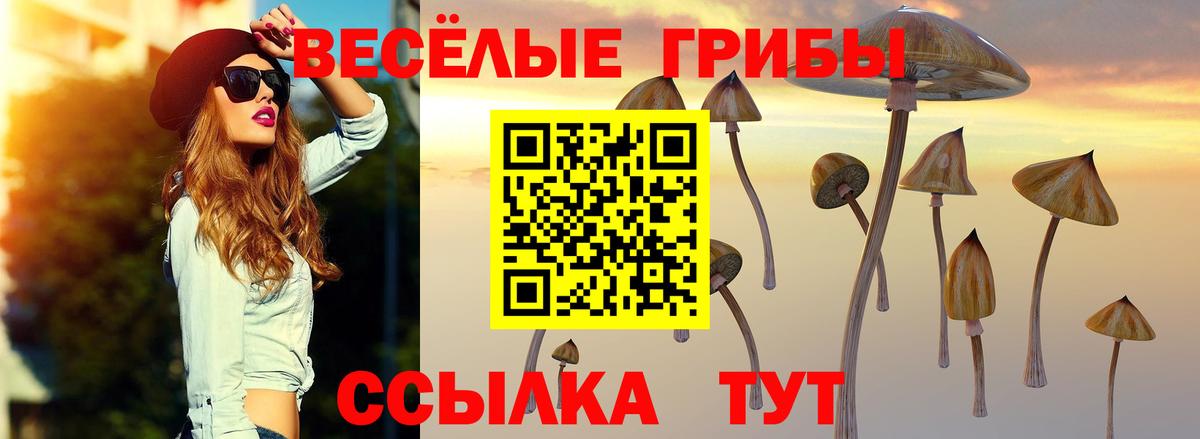 Галлюциногенные грибы Psilocybine cubensis Черкесск